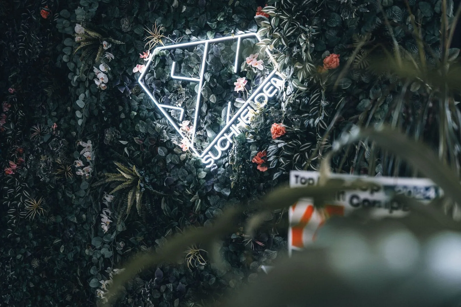 Weißes SH-Neonlogo auf der Pflanzenwand im Suchhelden-Büro in Osnabrück